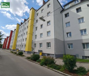 Geförderte Genossenschaftswohnung mit optimaler Verkehrsanbindung! - Photo 3