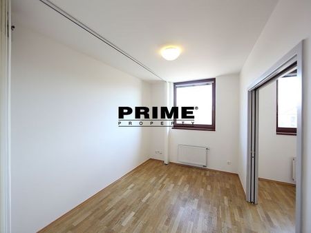 Pronájem bytu 4+1 147 m², Štefánikova 18, Praha - Fotografie 4