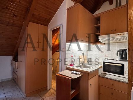 Studio/Γκαρσονιέρα για ενοικίαση Κέντρο (Πύλος) - Φωτογραφία 5