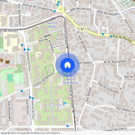 BLAGNAC 31700