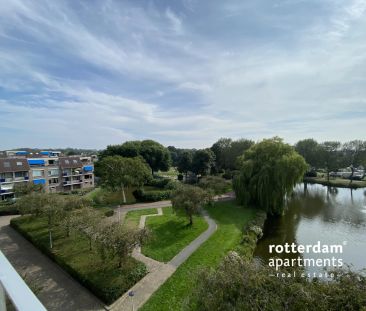 Henry Moorepassage, Rotterdam - Photo 6