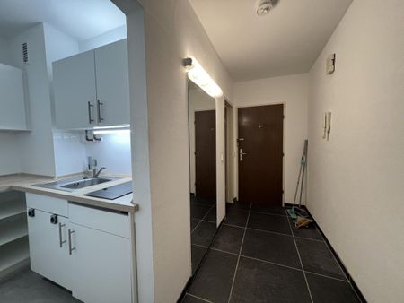 Im Herzen von Gießen mit Blick auf den Botanischen Garten: Große, helle 1 Zimmer-Wohnung mit Balkon, Diezstr. 7, Gießen - Foto 3