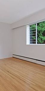 Pet Friendly Spacious Bright 1 bedroom available Feb 1! - Photo 4