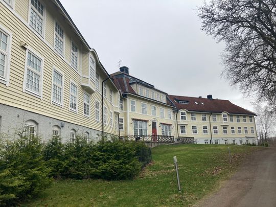 Sanatorievägen, Sävsjö - Foto 1