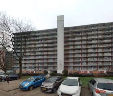 Appartement de 5 pièces Anne Franklaan, Purmerend - À Louer - Photo 3