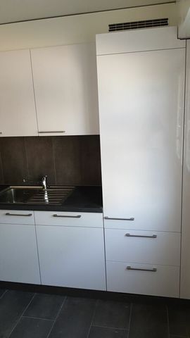 Beautiful 4-room apartment renovated in 2024 in a quiet neighborhood! - Photo 4