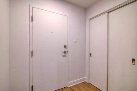 9675 Av. Papineau, app.113, H2B 3C8, H2B 3C8, Montréal - Photo 5