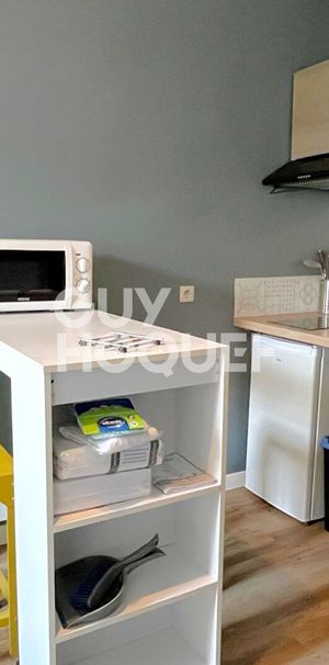 Studio meublé en hypercentre, à deux pas de la faculté - Photo 1