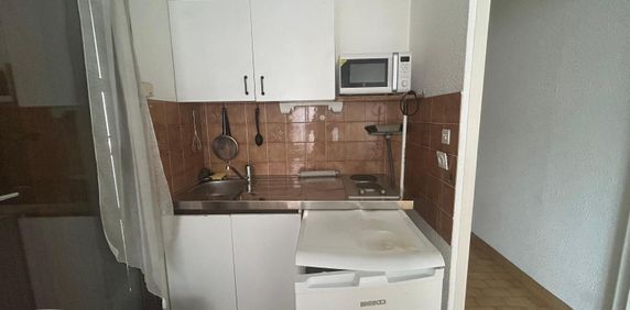Location Appartement 1 pièce 25m² GRENOBLE 38000 - Photo 2