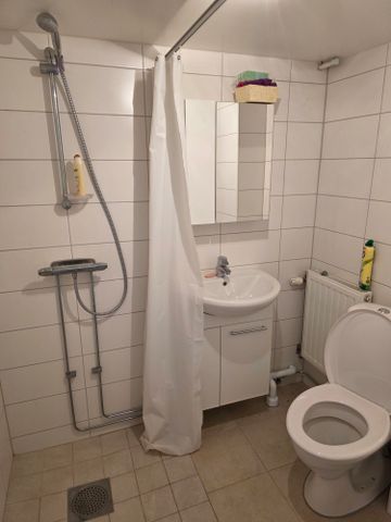 Skepparegatan, Halmstad - Foto 5