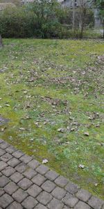 Location Appartement 1 pièce 21m² CARQUEFOU 44470 - Photo 4