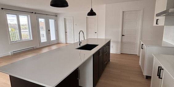 Grand 5 1/2, 2 Sdb à Louer - Photo 3