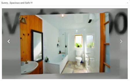 Sunny, Spacious charming home with Garden! - Photo 2