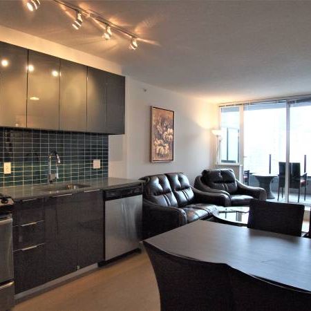 Pet Welcome Furnished 1 Bedroom@ 1325 Rolston -Available November 1st - Photo 3