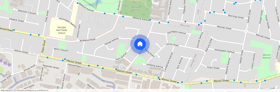 20a surrey avenue, NSW 2198, Georges Hall