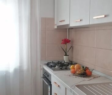 Apartament de inchiriat, 2 camere, decomandat, 54 mp, Nicolina, dupa mag Profi, Cod 163295 - Fotografie 4