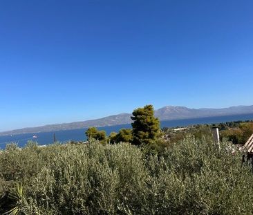 Μονοκατοικία για ενοικίαση Νέα Παλάτια (Ωρωπός) - Photo 5