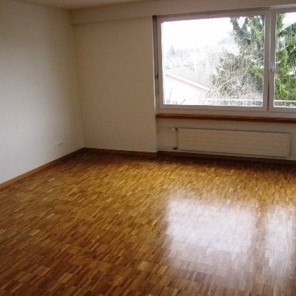 Helle, moderne 1-Zimmer-Wohnung in Adliswil - Photo 1