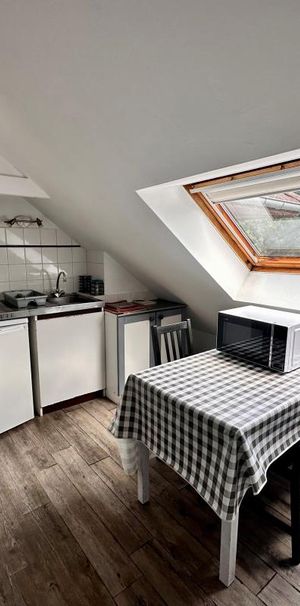 Location Appartement 1 pièce Meublé 15m² LE BOURGET DU LAC 73370 - Photo 1