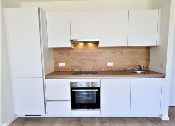 HOFRUHELAGE, JEDLESEE, 33 m2 Neubau, Einzelwohnraum, Komplettküche, Duschbad, Hofruhelage, 1. Liftstock, Anton-Bosch-Gasse - Photo 1