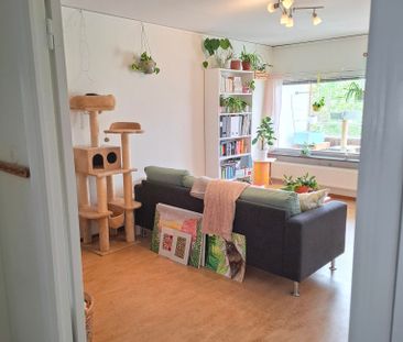 Blodstensvägen, Uppsala - Foto 5