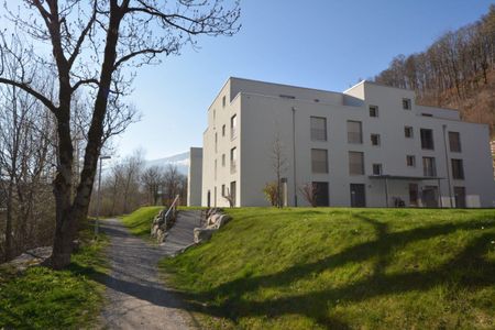 Wohnen an der Seez - moderne 2.5-ZW zu vermieten - Foto 3