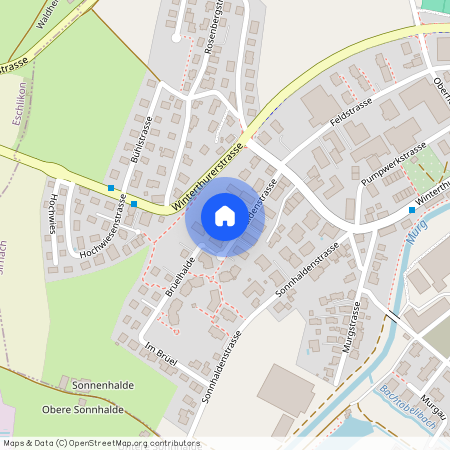 8370, Sirnach, Haldenstrasse, 8