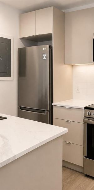 1 CH - 1 SDB - Montreal - $1,295 /mo - Photo 1