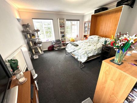 Studio to rent - Photo 3