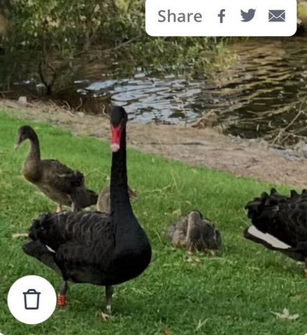 Varsity Lakes - Photo 3