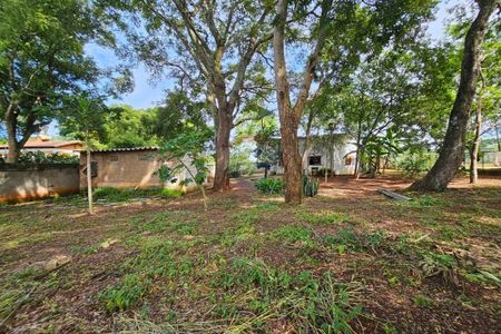 Aluguel de Casa com quintal amplo, 2 Quartos em Chácaras Califórnia, próximo ao Campus da UFG - Foto 3