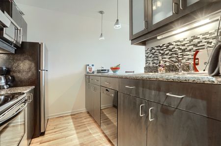 Condo for rent, Montréal (Ville-Marie) - Photo 3