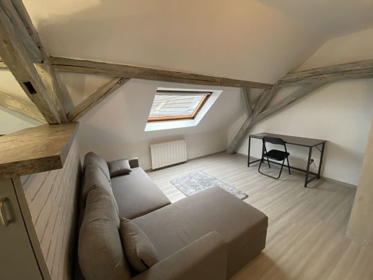 Location Appartement 1 pièce 20m² HOENHEIM 67800 - Photo 1