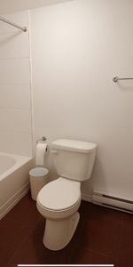 1 CH - 1 SDB - Montréal - $1,220 /mo - Photo 4