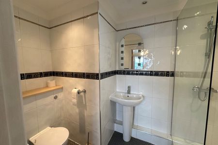 Brandon, Sedge fen - Photo 3