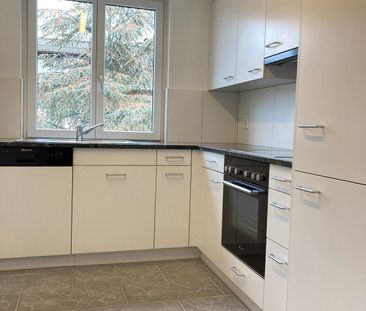 Rent a 3 rooms apartment in Schaffhausen - Photo 1