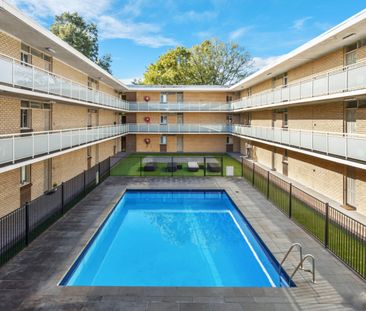 45/167 Willoughby Road, Naremburn NSW 2065 - Apartment For Rent | D... - Photo 4