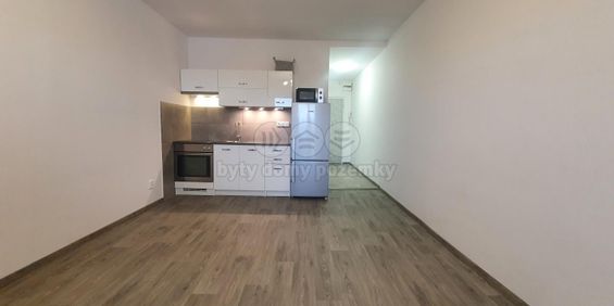 Pronájem bytu 1+kk, garsoniery 35 m², Hradec Králové - Photo 3