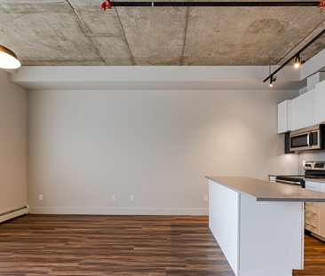 Vibe Lofts - Photo 2