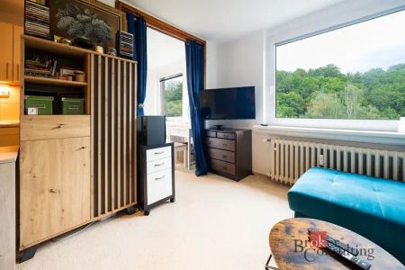 Pronájem bytu 1+kk 38 m - Fotografie 5