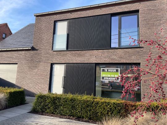 recente nieuwbouw vier slaapkamer EENGEZINSWONING met grote garage & buitenterras - Foto 1