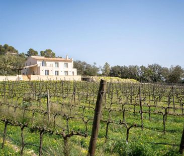 4 room luxury House for rent in Porreres, Balearic Islands - Photo 4