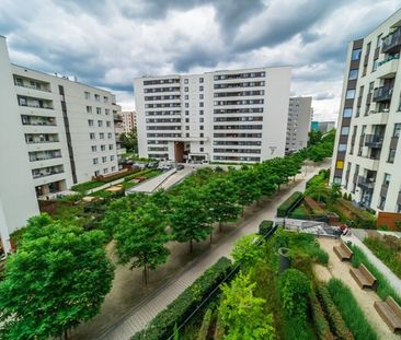 Kraków - Zdjęcie 3