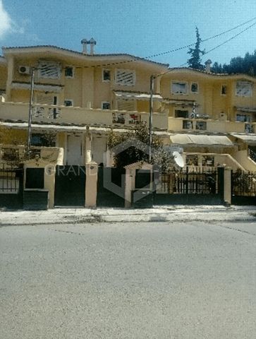 Μεζονέτα 225 τ.μ. προς ενοικίαση - Photo 4