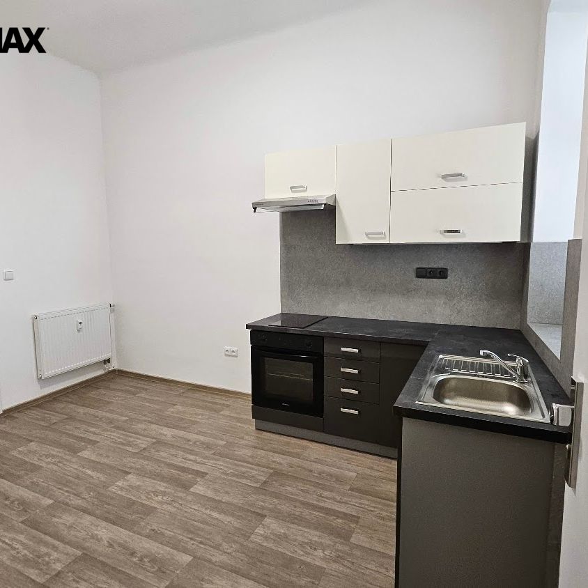 Pronájem bytu 1+1 v osobním vlastnictví 33 m², Brno - Fotografie 1