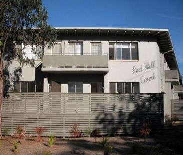 10/97 Monaro Cres, Red Hill ACT 2603 - Apartment For Rent | Domain - Photo 4