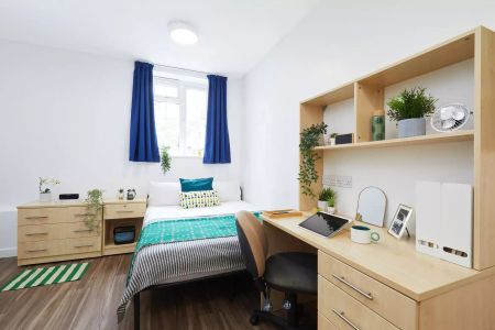 Standard Studio - Photo 3