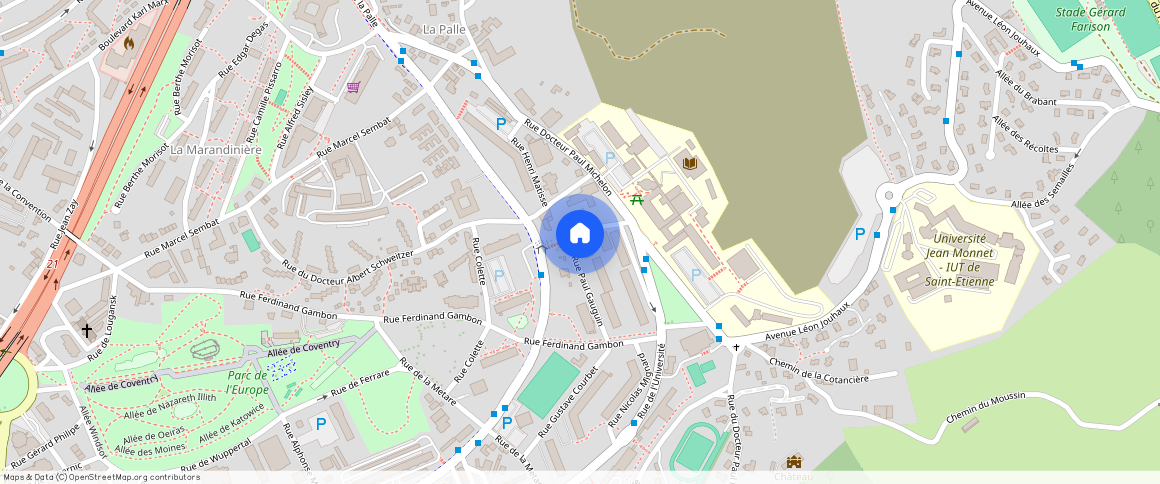 ** RUE PAUL GAUGUIN, 42100, St Etienne