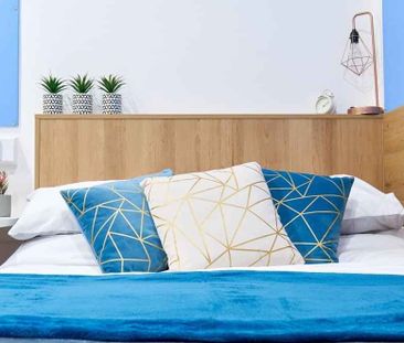 Standard Studio - Photo 5