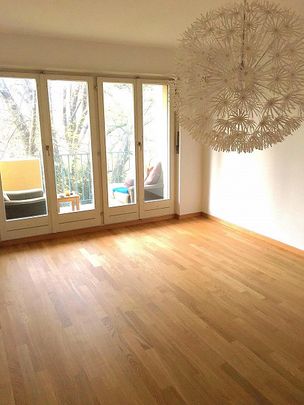 3.0 Zimmerwohnung in Schaffhausen - Foto 1
